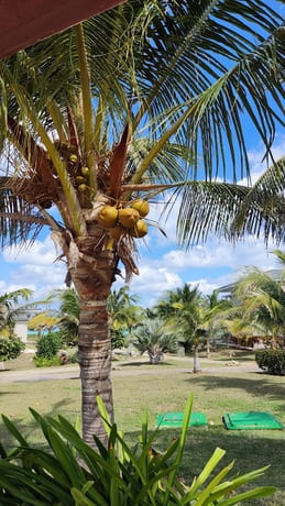 Playa Pilar - Cayo Guillermo