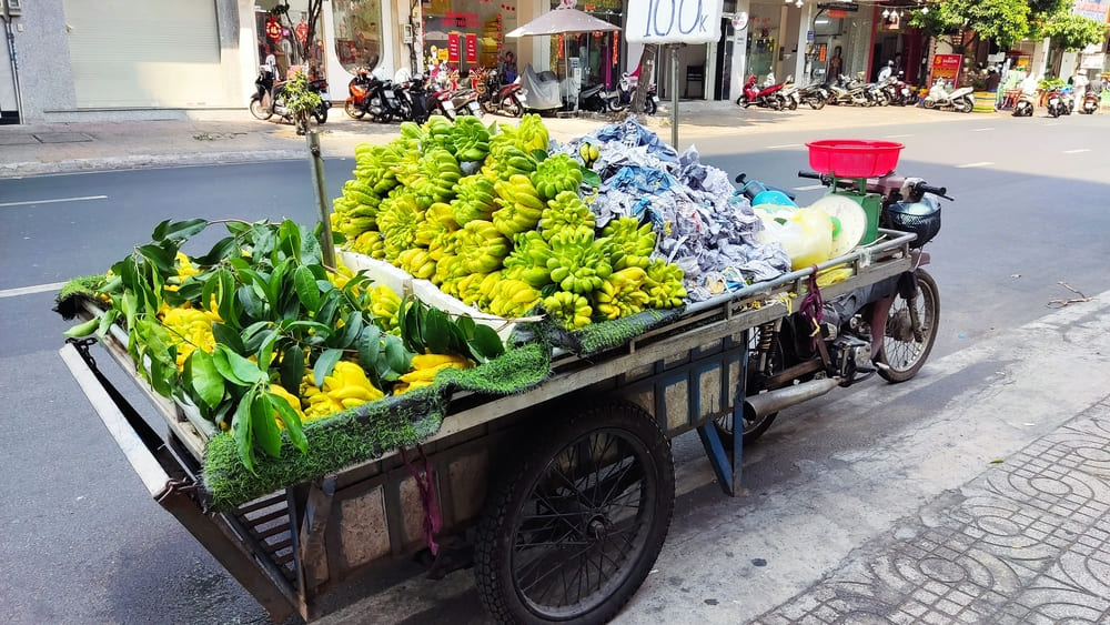 Saigon kola s voćem