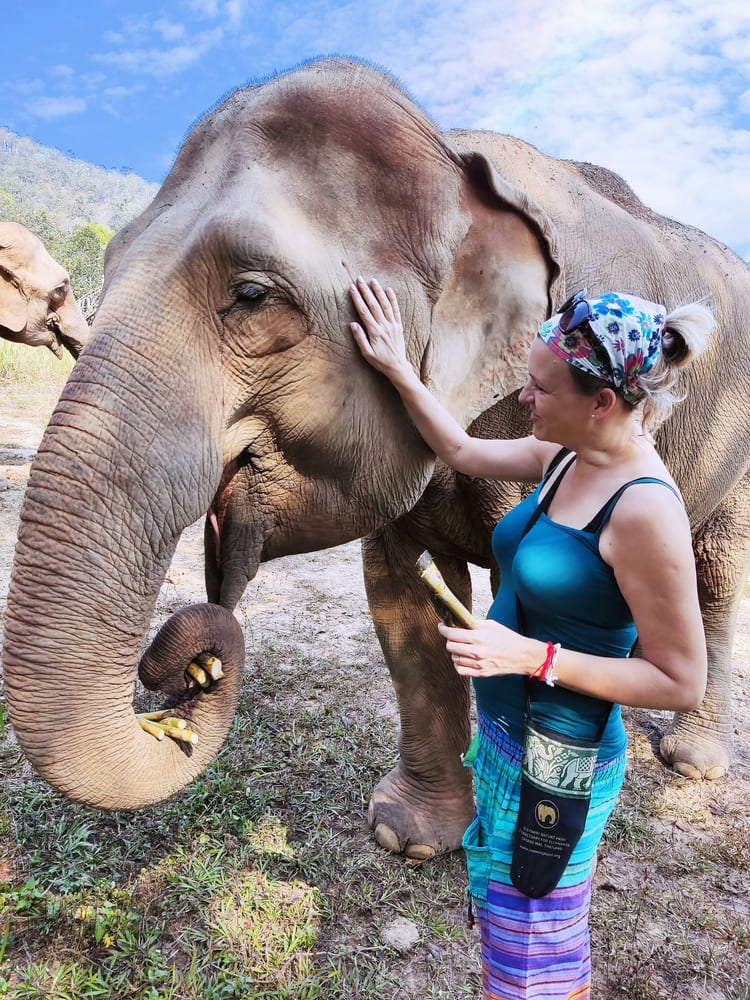 Karen Elephant Serenity