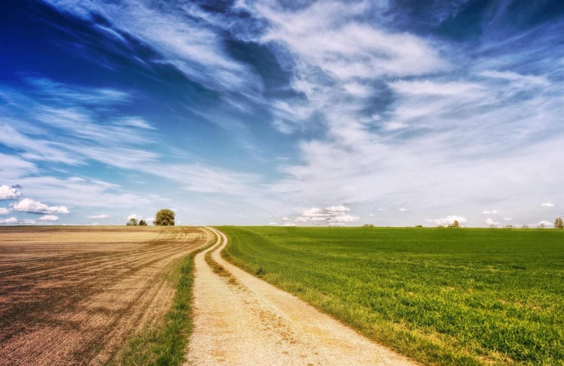 Prazna sunčana cesta