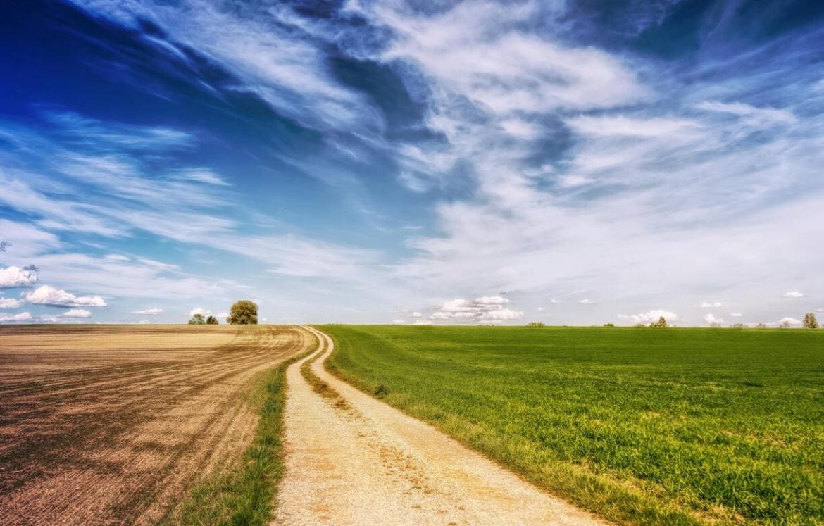 Prazna sunčana cesta