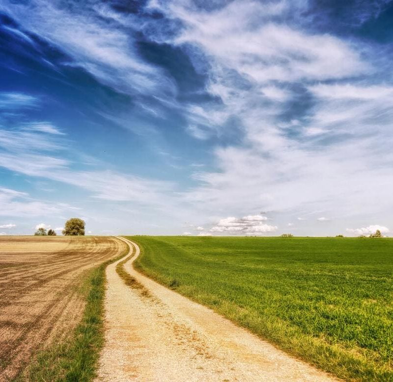 Prazna sunčana cesta